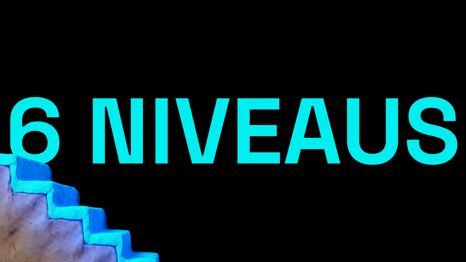 De Grote Verandering slide 65: 6 NIVEAUS
