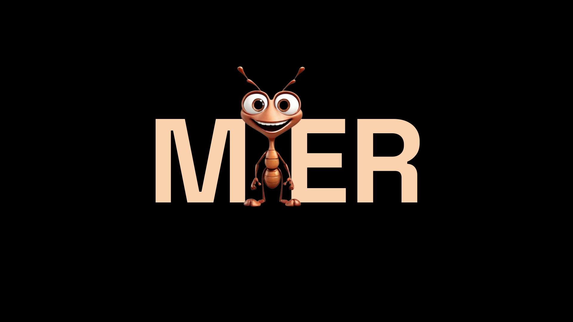 Workshop slide 112: M ER